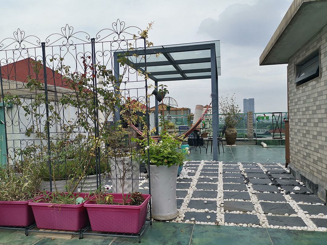 想在屋顶种植植物，如何做屋面防水？[南京蓝盾]