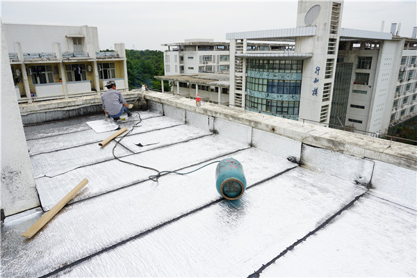 屋面专业防水